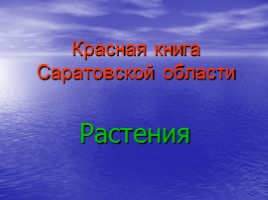 Красная книга Саратовской области (растения), слайд 1