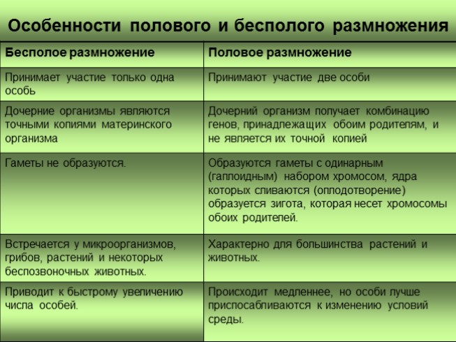 Презентация - Половое и бесполое размножение