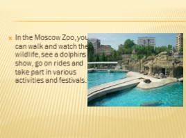 Moscow Zoo, слайд 13