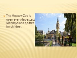 Moscow Zoo, слайд 15