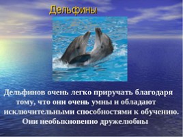 Дельфин, слайд 10
