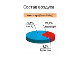 Наземно-воздушная среда обитания, слайд 7