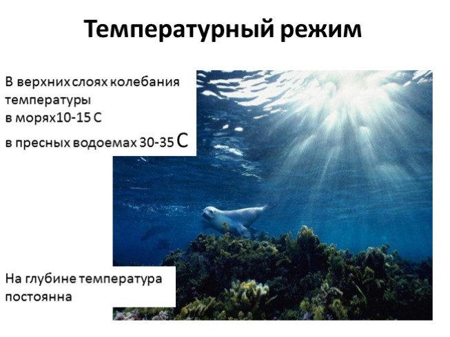Презентация - Водная среда обитания