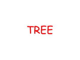 Дерево - Tree (на английском языке), слайд 1