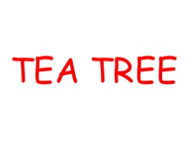 Дерево - Tree (на английском языке), слайд 14
