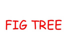 Дерево - Tree (на английском языке), слайд 8