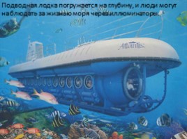 Подводный мир, слайд 13