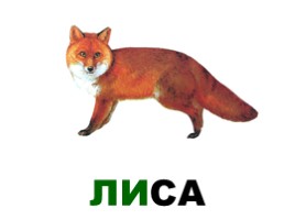 Лесные животные России, слайд 4