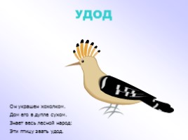 Птицы в стихах, слайд 15