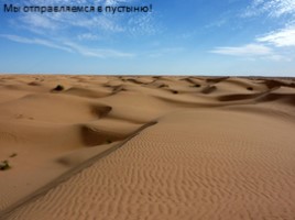 Африканская пустыня, слайд 7