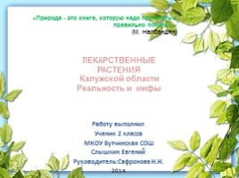 Лекарственные растения Калужской области, слайд 1