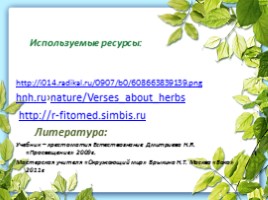 Лекарственные растения Калужской области, слайд 15