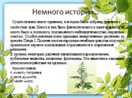 Лекарственные растения Калужской области, слайд 4