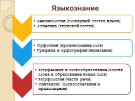 Русский язык 5 класс «Язык и языкознание», слайд 4