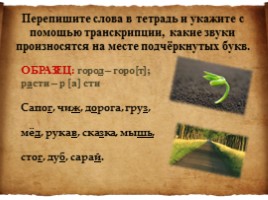Русский язык 5 класс «Звуки и буквы», слайд 11