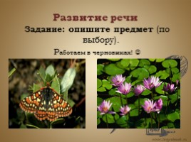 Русский язык 5 класс «Речь - Типы речи», слайд 10