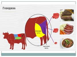 Технология девушки 9 класс «Виды мясного сырья», слайд 11