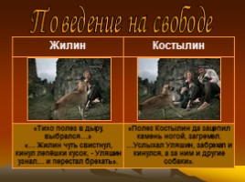 Лев Николаевич Толстой повесть «Кавказский пленник», слайд 28