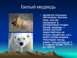 Красная книга России, слайд 10