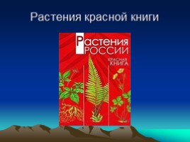 Красная книга России, слайд 12