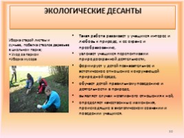 Экологический проект «Через знания в природу», слайд 20