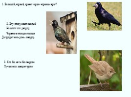 Открытое занятия по ознакомлению с окружающим по теме «Прилет птиц» (подготовительная группа), слайд 5