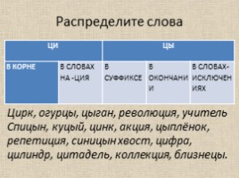 Русский язык 5 класс «Буквы Ы-И после Ц», слайд 15