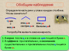 Русский язык 5 класс «Буквы Ы-И после Ц», слайд 4