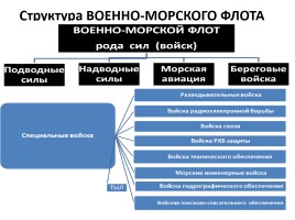 Организационная структура Вооруженных сил РФ - Виды Вооруженных сил и рода войск, слайд 14