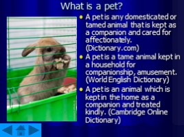 Pets, слайд 2