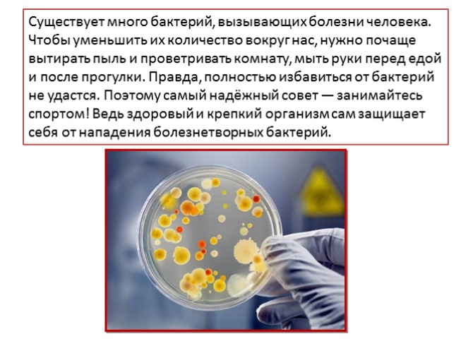 Презентация - О бактериях