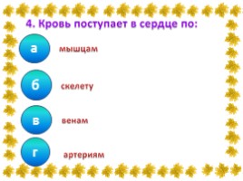 Первая помощь при кровотечении, слайд 24