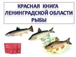 Красная книга Ленинградской области «Рыбы»