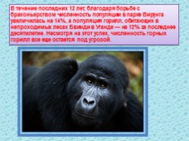 10 исчезающих видов животных в 2010 году по мнению WWF, слайд 18