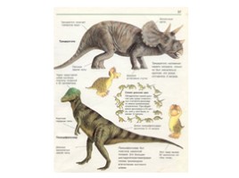 Динозавры, слайд 25