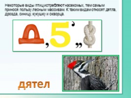 Животные Ленинградской области, слайд 25