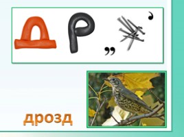 Животные Ленинградской области, слайд 26