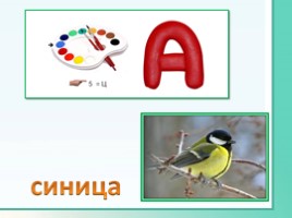 Животные Ленинградской области, слайд 27