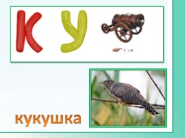 Животные Ленинградской области, слайд 28