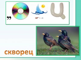 Животные Ленинградской области, слайд 29