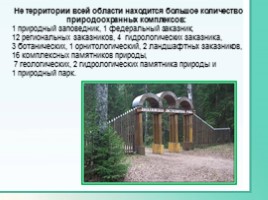 Животные Ленинградской области, слайд 38