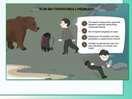 Животные Ленинградской области, слайд 41