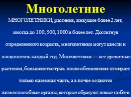 Основные сорные растения изучаемые с учащимися начальных классов, слайд 10