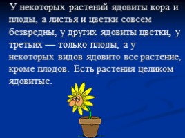 Основные сорные растения изучаемые с учащимися начальных классов, слайд 19