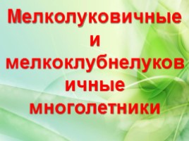 Многолетние цветущие растения «Растения сезонного оформления цветников», слайд 52