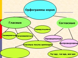 Буквы о - ё после шипящих в корне, слайд 4