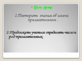 Русский язык 2 класс «Имя прилагательное», слайд 9