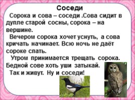Русский язык 2 класс - Изложение «Соседи», слайд 4
