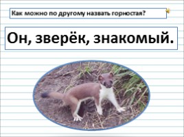 Русский язык 3 класс - Урок 86 - Изложение «Горностай», слайд 10