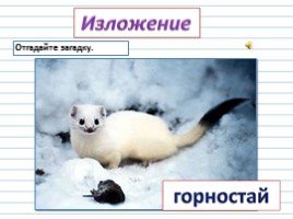 Русский язык 3 класс - Урок 86 - Изложение «Горностай», слайд 3